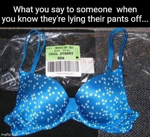 Revealing Truth | What you say to someone  when you know they're lying their pants off... | image tagged in cool story,bra,liar liar pants on fire,funny,underwear | made w/ Imgflip meme maker