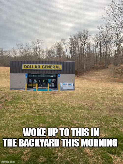 Woke up to this in the backyard this morning | WOKE UP TO THIS IN THE BACKYARD THIS MORNING | image tagged in dollar store | made w/ Imgflip meme maker