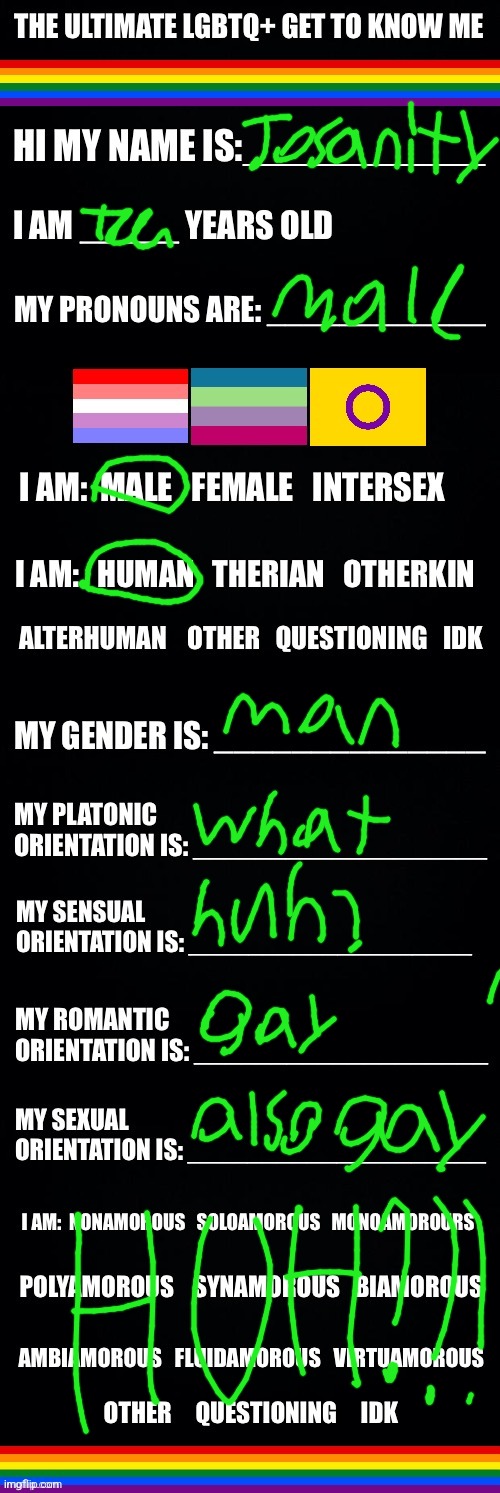 not tryna sound like "that" but what does all of this MEAN??? (InvaderBethany: explanation in the comments.) | image tagged in the ultimate lgbtq get to know me | made w/ Imgflip meme maker