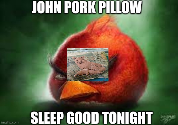 i have a john pork pillow and i actually get good sleep with it | JOHN PORK PILLOW; SLEEP GOOD TONIGHT | image tagged in realistic red angry birds | made w/ Imgflip meme maker