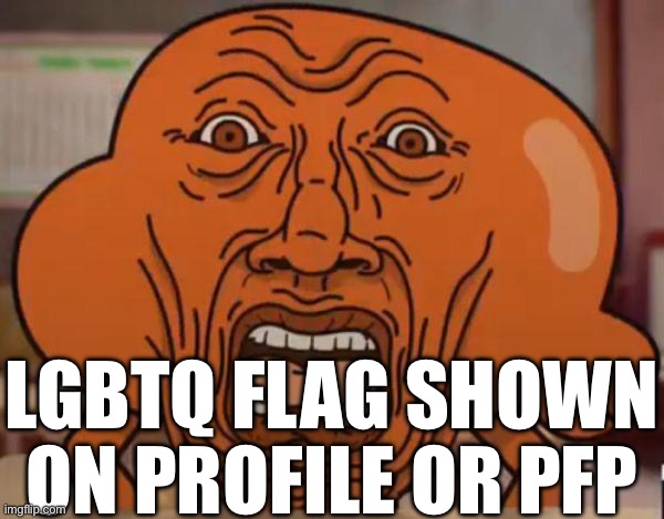 High Quality LGBTQ flag shown on profile or pfp Blank Meme Template