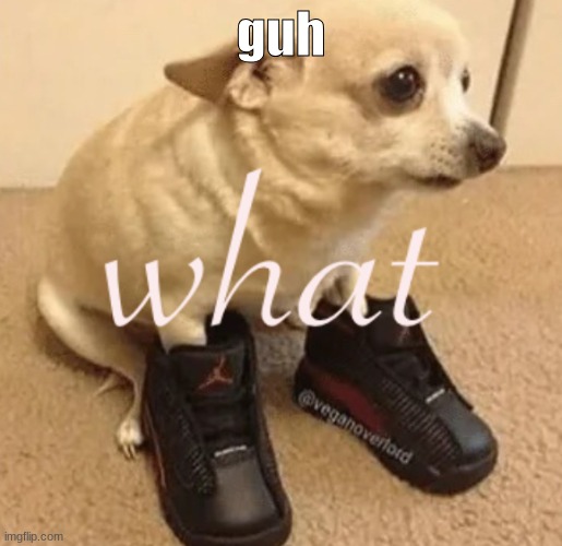 what | guh | image tagged in what | made w/ Imgflip meme maker