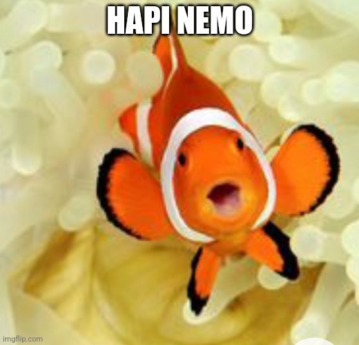 I see a nemo out of a white sea anemone | HAPI NEMO | image tagged in happy fish | made w/ Imgflip meme maker