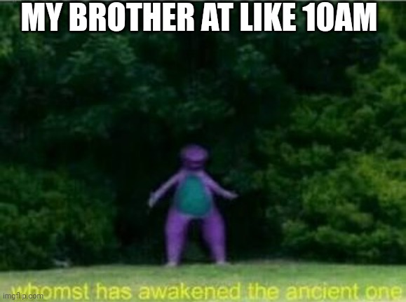 Sleeeep | MY BROTHER AT LIKE 10AM | image tagged in whomst has awakened the ancient one | made w/ Imgflip meme maker