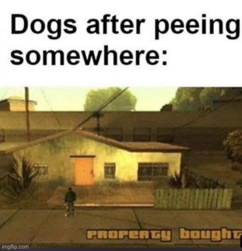 image tagged in memes,funny,gta,dog | made w/ Imgflip meme maker