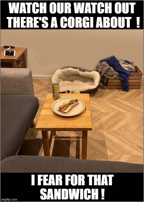 Spot The Dog ! | WATCH OUR WATCH OUT
 THERE'S A CORGI ABOUT  ! I FEAR FOR THAT
SANDWICH ! | image tagged in dogs,corgi,spot the dog,sandwich | made w/ Imgflip meme maker