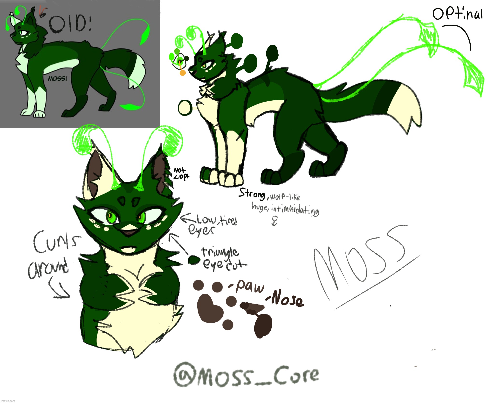 New Mossi ref | image tagged in trying to post,busy with school n stressed | made w/ Imgflip meme maker