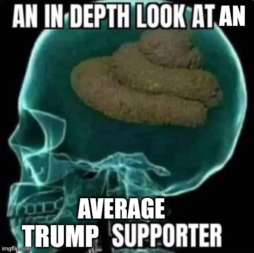 AN; AVERAGE; TRUMP | made w/ Imgflip meme maker