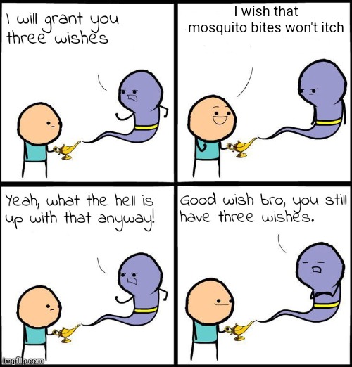 Frfr | I wish that mosquito bites won't itch | image tagged in 3 wishes | made w/ Imgflip meme maker