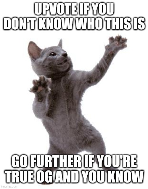 Happy Dance Cat | UPVOTE IF YOU DON'T KNOW WHO THIS IS; GO FURTHER IF YOU'RE TRUE OG AND YOU KNOW | image tagged in happy dance cat | made w/ Imgflip meme maker