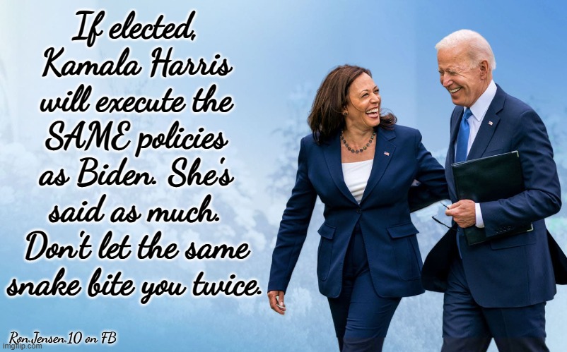 Kamala ?? Biden | If elected, Kamala Harris will execute the SAME policies as Biden. She's said as much. Don't let the same snake bite you twice. Ron.Jensen.10 on FB | image tagged in biden and harris,kamala harris,joe biden | made w/ Imgflip meme maker