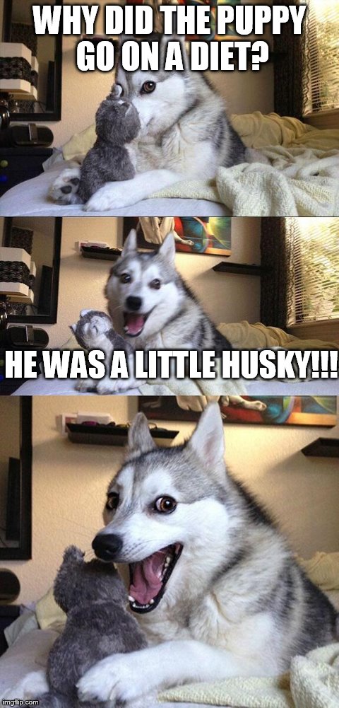 Bad Pun Dog Meme | WHY DID THE PUPPY GO ON A DIET? HE WAS A LITTLE HUSKY!!! | image tagged in memes,bad pun dog | made w/ Imgflip meme maker