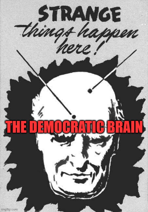 How they can think what they are trying to do is good for everyone | THE DEMOCRATIC BRAIN | image tagged in strange things,politics | made w/ Imgflip meme maker