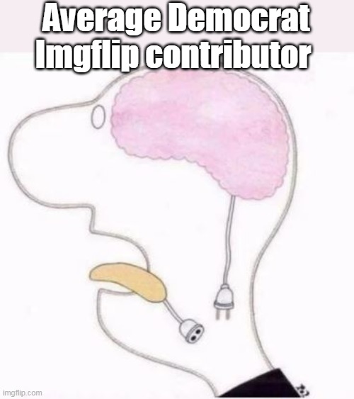 Average Democrat Imgflip contributor | made w/ Imgflip meme maker