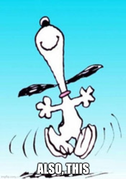 Snoopy dance | ALSO, THIS | image tagged in snoopy dance | made w/ Imgflip meme maker