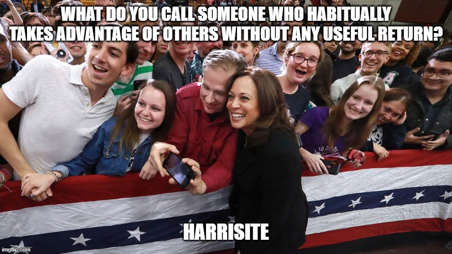 Skin crawler | WHAT DO YOU CALL SOMEONE WHO HABITUALLY TAKES ADVANTAGE OF OTHERS WITHOUT ANY USEFUL RETURN? HARRISITE | image tagged in kamala harris,democrats,liberals,woke,dimwits,useful idiots | made w/ Imgflip meme maker