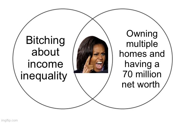 Watching sheep applaud this irony  is very entertaining | Owning multiple homes and having a 70 million net worth; Bitching about income inequality | image tagged in venn diagram,politics lol,memes,derp | made w/ Imgflip meme maker