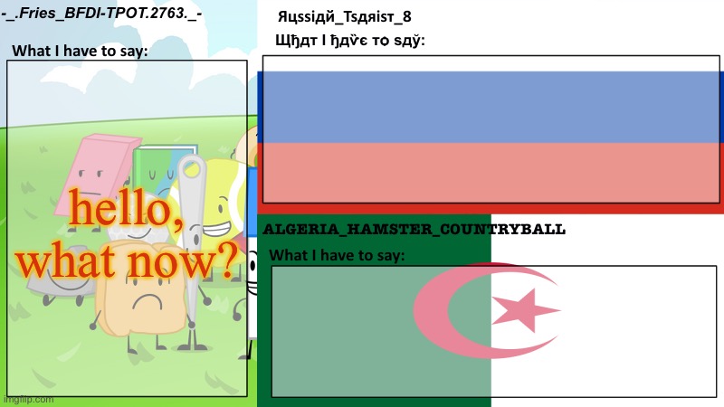 Fries, Tsarist, and Algeria's shared template | hello, what now? | image tagged in fries tsarist and algeria's shared template | made w/ Imgflip meme maker