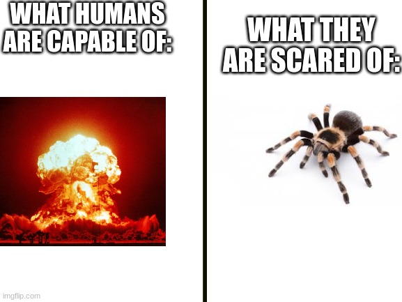 spoopy | WHAT HUMANS ARE CAPABLE OF:; WHAT THEY ARE SCARED OF: | image tagged in blank white template,memes,funny,true story,relatable,so true memes | made w/ Imgflip meme maker