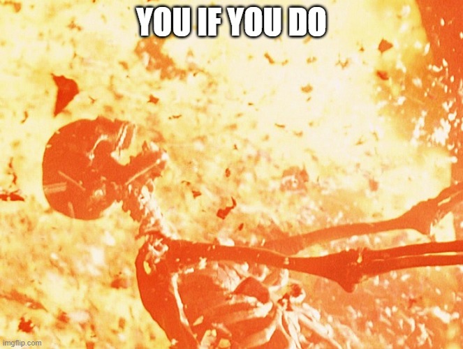 Fire skeleton | YOU IF YOU DO | image tagged in fire skeleton | made w/ Imgflip meme maker