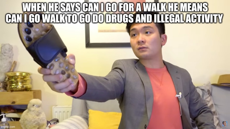 Steven He | WHEN HE SAYS CAN I GO FOR A WALK HE MEANS CAN I GO WALK TO GO DO DRUGS AND ILLEGAL ACTIVITY | image tagged in steven he | made w/ Imgflip meme maker