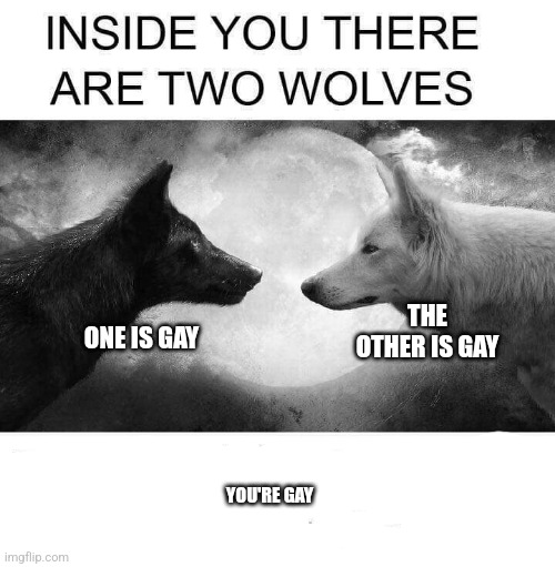 There are two wolves inside you | THE OTHER IS GAY; ONE IS GAY; YOU'RE GAY | image tagged in inside you there are two wolves | made w/ Imgflip meme maker