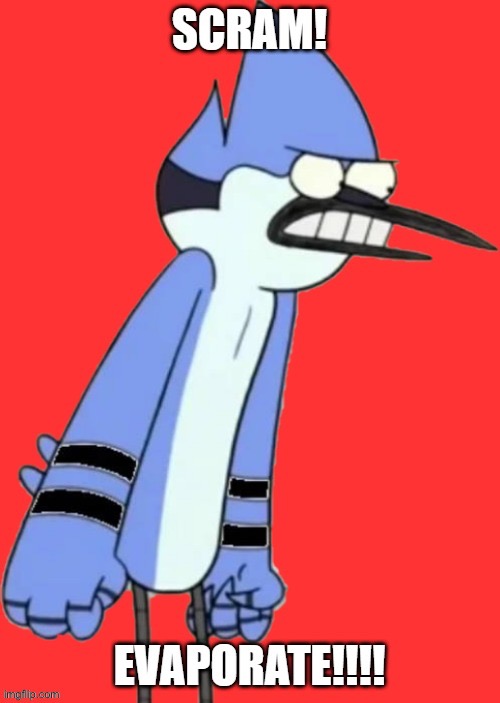 Mordecai scram evaporate | image tagged in mordecai scram evaporate | made w/ Imgflip meme maker