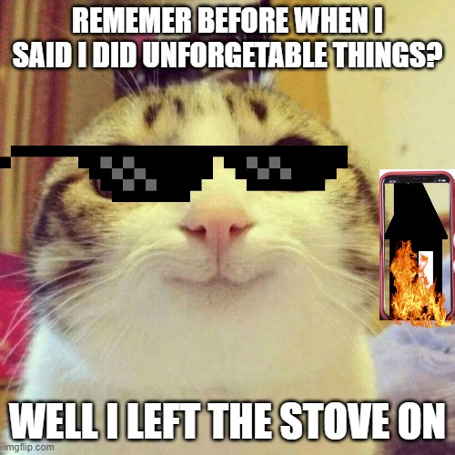 Smiling Cat | REMEMER BEFORE WHEN I SAID I DID UNFORGETABLE THINGS? WELL I LEFT THE STOVE ON | image tagged in memes,smiling cat | made w/ Imgflip meme maker