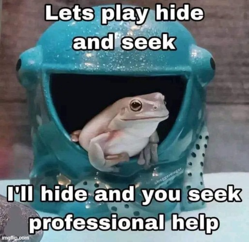 hide and seek | image tagged in hide and seek | made w/ Imgflip meme maker