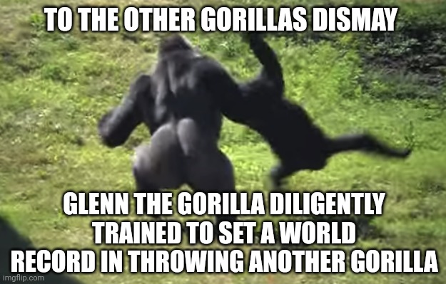 gorilla throwing another gorilla | TO THE OTHER GORILLAS DISMAY; GLENN THE GORILLA DILIGENTLY TRAINED TO SET A WORLD RECORD IN THROWING ANOTHER GORILLA | image tagged in gorilla throwing another gorilla | made w/ Imgflip meme maker