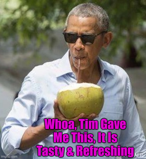 This Is Making Me Giddy, Up | Whoa, Tim Gave Me This, It Is Tasty & Refreshing | image tagged in obama coconut,political meme,politics,funny memes,funny | made w/ Imgflip meme maker