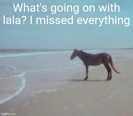 man. | What's going on with lala? I missed everything | image tagged in man | made w/ Imgflip meme maker