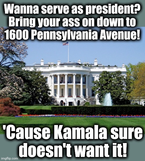 Who's leading the country?  NOBODY!!! | Wanna serve as president?
Bring your ass on down to
1600 Pennsylvania Avenue! 'Cause Kamala sure
doesn't want it! | image tagged in white house,memes,democrats,who's running the country,awol,kamala harris | made w/ Imgflip meme maker