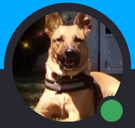 Sickdawg#2 Blank Meme Template