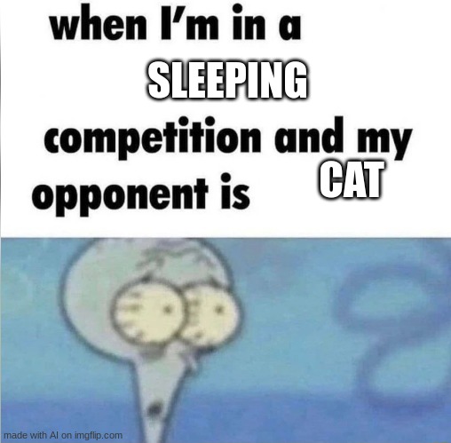 whe i'm in a competition and my opponent is | SLEEPING; CAT | image tagged in whe i'm in a competition and my opponent is,squidward,cats,sleep | made w/ Imgflip meme maker