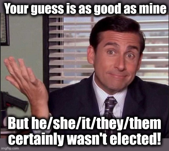 Michael Scott | Your guess is as good as mine But he/she/it/they/them
certainly wasn't elected! | image tagged in michael scott | made w/ Imgflip meme maker