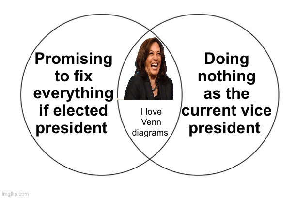 Do nothing - promise everything | Doing nothing as the current vice president; Promising to fix everything if elected president; I love Venn diagrams | image tagged in venn diagram,politics lol,memes,kamala harris,derp | made w/ Imgflip meme maker