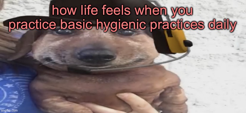 you should really consider trying it, it’s not healthy to not have showered in days | how life feels when you practice basic hygienic practices daily | image tagged in chucklenuts | made w/ Imgflip meme maker