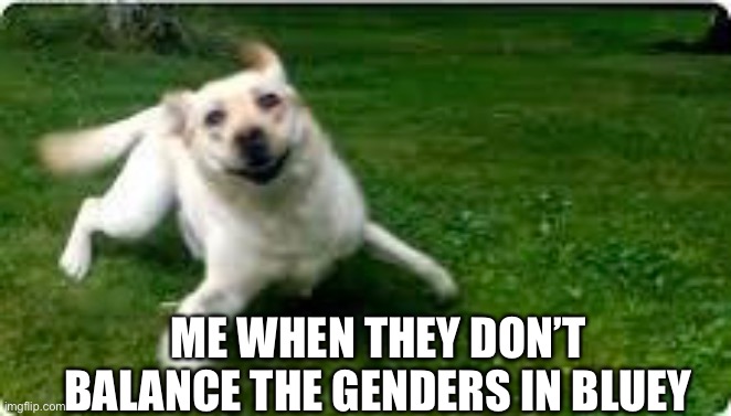 (>_<) | ME WHEN THEY DON’T BALANCE THE GENDERS IN BLUEY | image tagged in dogs | made w/ Imgflip meme maker