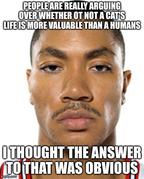 basically someone was talking about how a guy was (too graphic for imgflip) and cats when through similar and someone said they  | PEOPLE ARE REALLY ARGUING OVER WHETHER OT NOT A CAT'S LIFE IS MORE VALUABLE THAN A HUMANS; I THOUGHT THE ANSWER TO THAT WAS OBVIOUS | image tagged in derrick rose straight face | made w/ Imgflip meme maker