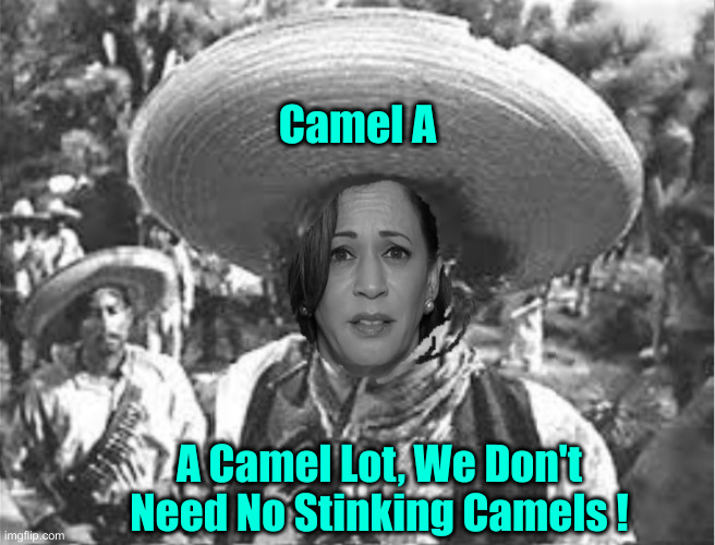 We Don't Need No Stinking Badges | Camel A A Camel Lot, We Don't Need No Stinking Camels ! | image tagged in we don't need no stinking badges | made w/ Imgflip meme maker