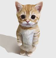 Kitten Blank Meme Template