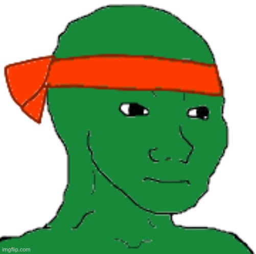 Ninja turtle wojak | image tagged in wojak ninja turtle | made w/ Imgflip meme maker