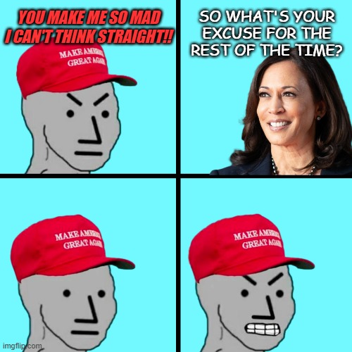 Inspired by numerous interviews with Trump-supporters | YOU MAKE ME SO MAD I CAN'T THINK STRAIGHT!! SO WHAT'S YOUR EXCUSE FOR THE REST OF THE TIME? | image tagged in maga npc rage | made w/ Imgflip meme maker