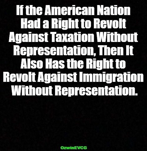 Without Representation (Again) | If the American Nation 

Had a Right to Revolt 

Against Taxation Without 

Representation, Then It 

Also Has the Right to 

Revolt Against Immigration 

Without Representation. OzwinEVCG | image tagged in america,then and now,taxation,representation,immigration,if that | made w/ Imgflip meme maker