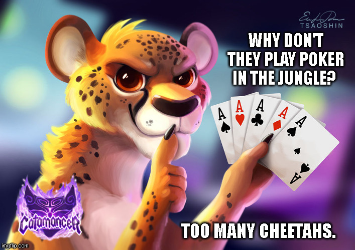 Cheating Cheetah in the Jungle | WHY DON'T THEY PLAY POKER IN THE JUNGLE? TOO MANY CHEETAHS. | image tagged in poker,cheetah,dad joke,furry,cheating cheetah by tsaoshin on deviantart,cheating cheetah | made w/ Imgflip meme maker