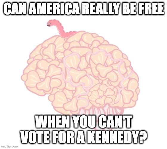 brain worm | CAN AMERICA REALLY BE FREE; WHEN YOU CAN'T VOTE FOR A KENNEDY? | image tagged in brain worm | made w/ Imgflip meme maker