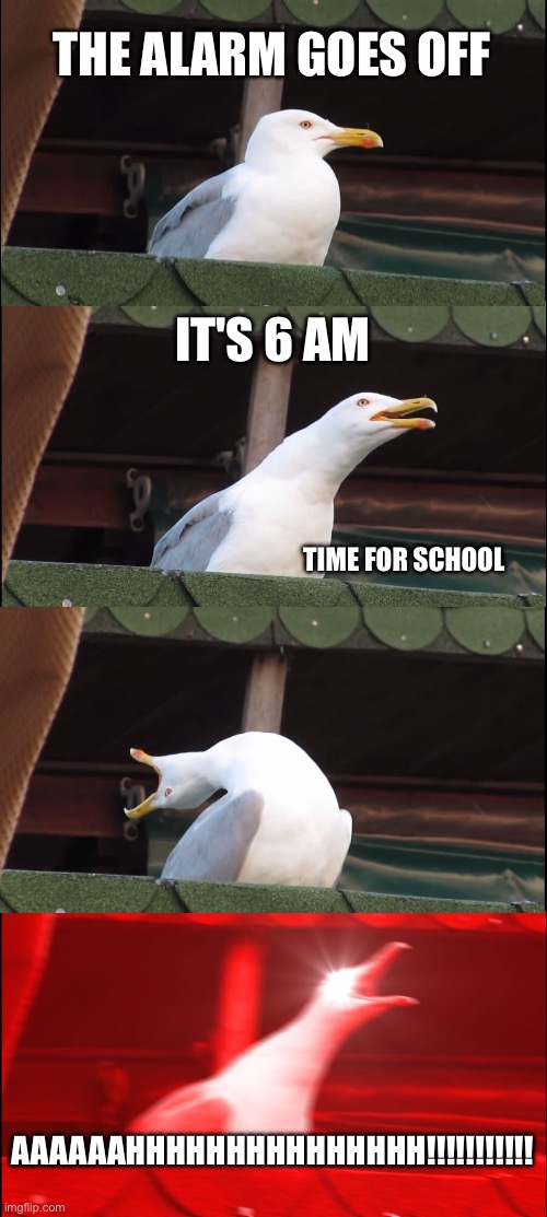 It’s 6 AM | THE ALARM GOES OFF; IT'S 6 AM; TIME FOR SCHOOL; AAAAAAHHHHHHHHHHHHHHH!!!!!!!!!!! | image tagged in memes,inhaling seagull,alarm clock,school | made w/ Imgflip meme maker