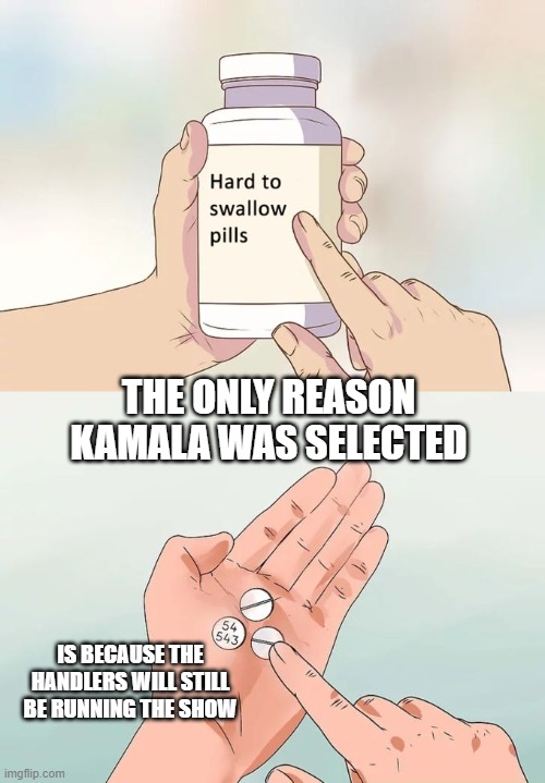 Hard To Swallow Pills | THE ONLY REASON KAMALA WAS SELECTED; IS BECAUSE THE HANDLERS WILL STILL BE RUNNING THE SHOW | image tagged in memes,hard to swallow pills | made w/ Imgflip meme maker