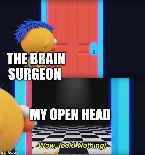 True story | THE BRAIN SURGEON; MY OPEN HEAD | image tagged in wow look nothing | made w/ Imgflip meme maker